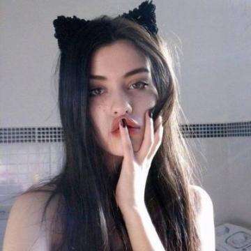 小蟀mrpoid下载